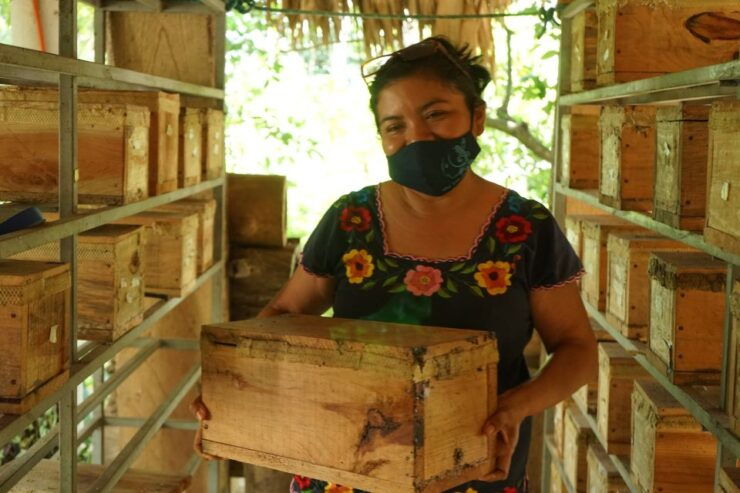From Merida: Local Cooking Class & Shopping Tour in Tekit - Experience Highlights