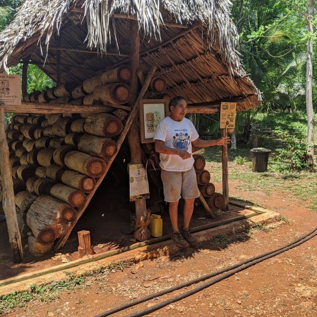 From Mérida: Maní and Tekit Day Trip With Lunch - Activity Overview