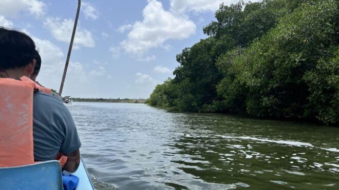 From Merida: Ria Lagartos, Coloradas & Cancunito Beach Tour - Transportation Time