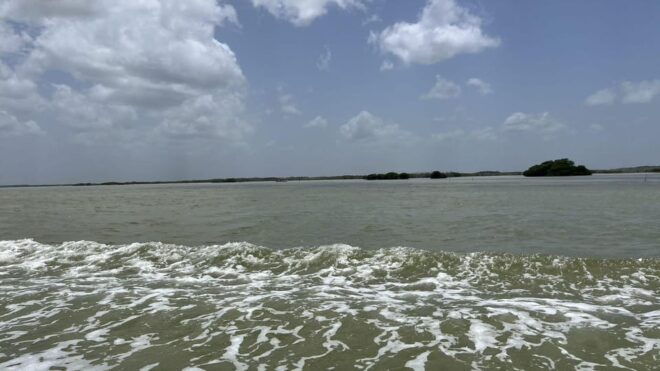 From Merida: Ria Lagartos, Coloradas & Cancunito Beach Tour - Inclusions