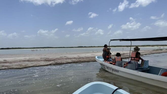 From Merida: Ria Lagartos, Coloradas & Cancunito Beach Tour - Important Information
