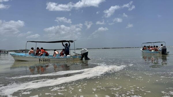 From Merida: Ria Lagartos, Coloradas & Cancunito Beach Tour - Activities Duration
