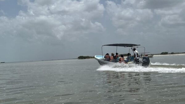 From Merida: Ria Lagartos, Coloradas & Cancunito Beach Tour - Local Restaurant Cuisine