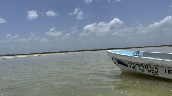 From Merida: Ria Lagartos, Coloradas & Cancunito Beach Tour - Frequently Asked Questions
