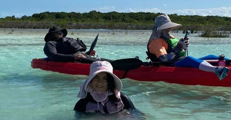 From Merida: Sisal Beach and Mangroves Kayak Tour - Good To Know