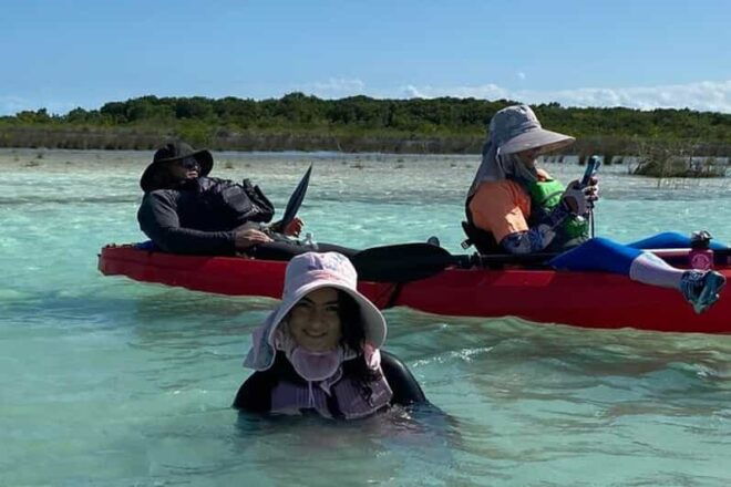 From Merida: Sisal Beach and Mangroves Kayak Tour - Inclusions