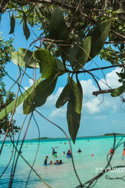 From Mérida: Sisal Paradise Magical Town Tour - Tour Highlights