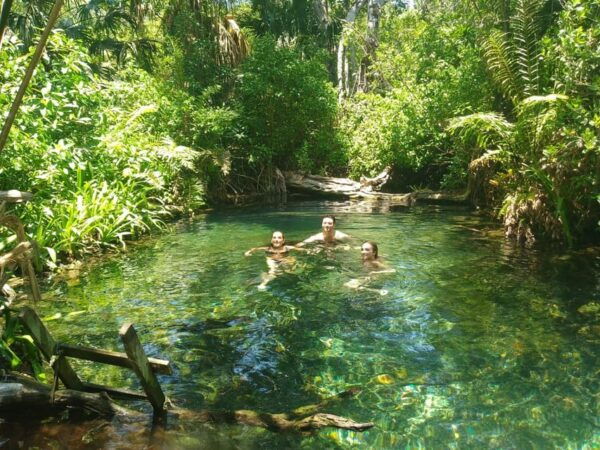 From Mérida: Sisal Paradise Magical Town Tour - Meeting Points and Pickup