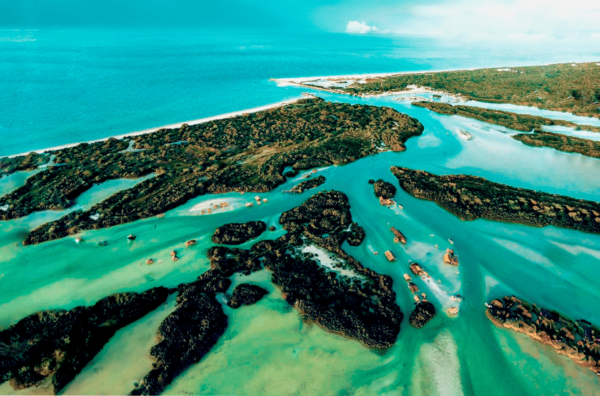 From Merida: Swing Island & Progreso - Important Information
