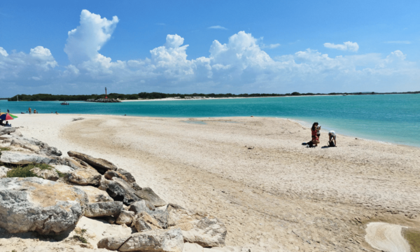 From Merida: Swing Island & Progreso - Reserve and Pay Options