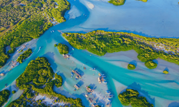 From Merida: Swing Island & Progreso - Frequently Asked Questions