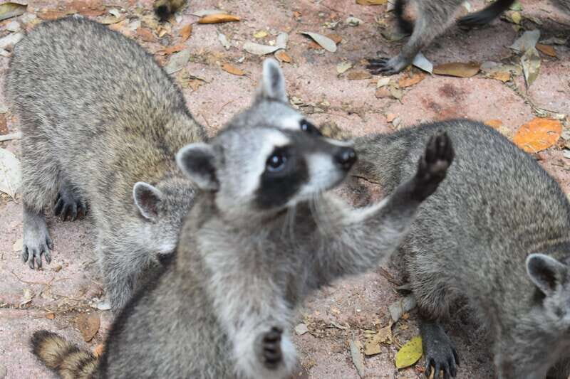 From Merida: Transfer to Celestun and Sisal - Good To Know