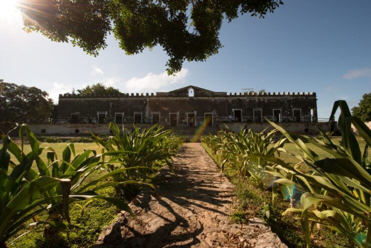 From Merida: Uxmal, Hacienda Yaxcopoil and Cenote With Lunch - Tour Highlights