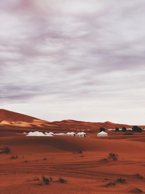 From Merzouga: All Included Overnight in Tent With Sandboard - Unique Desert Experience