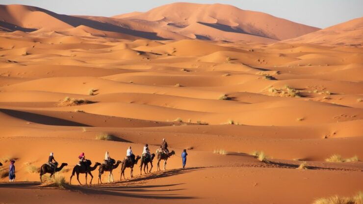 From Merzouga: Highlights of Morocco 8-Day Tour - Tour Overview
