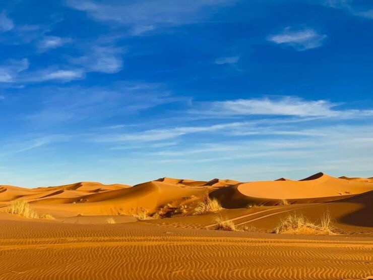 From Merzouga: Overnight Camel Trek Over Erg Chebbi Dunes - Itinerary