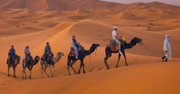 From Merzouga: Sunset Camel Ride & Sandboarding - Activity Highlights