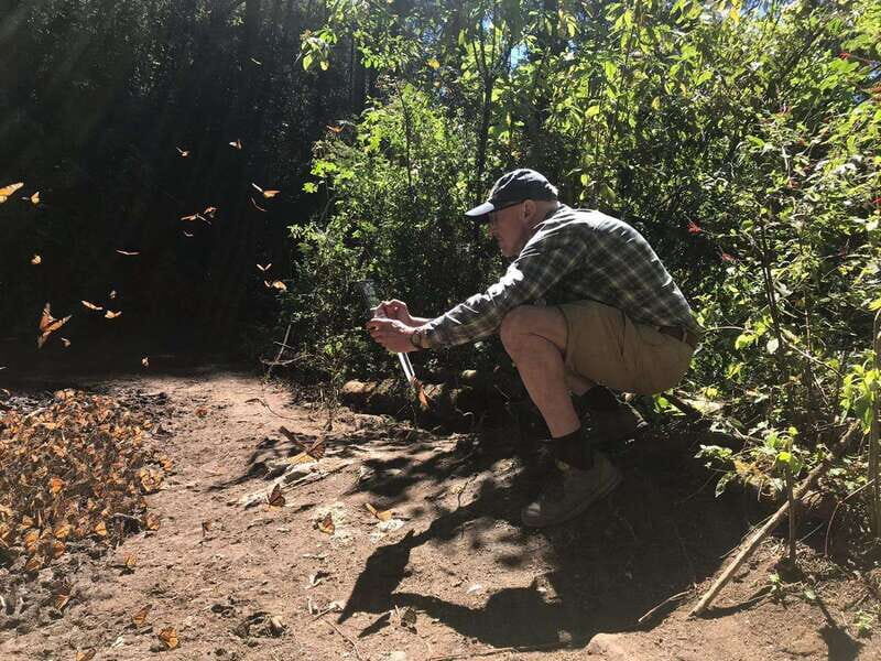 From Mexico City: 7-Day Monarch Butterfly Tour - Why Choose This Tour?  