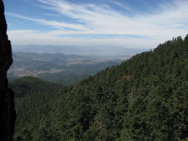 From Mexico City: 7-Day Monarch Butterfly Tour - Frequently Asked Questions  