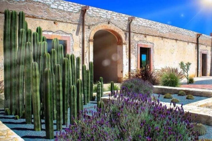 From Mexico City: Guanajuato and Mineral De Pozos Tour - Good To Know