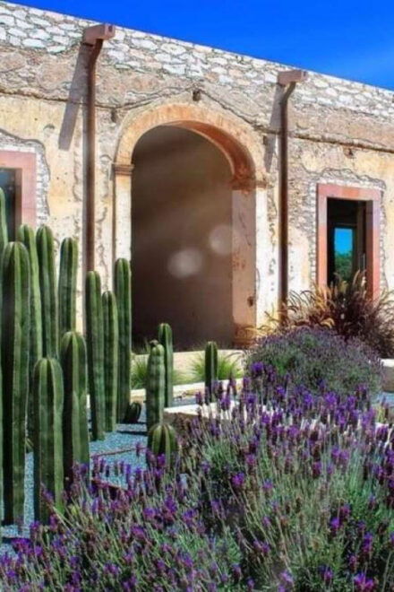 From Mexico City: Guanajuato and Mineral De Pozos Tour - Guided Tour Details