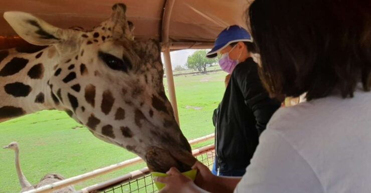 From Mexico City: Teotihuacan Tour & Reino Animal For Kids - Tour Details