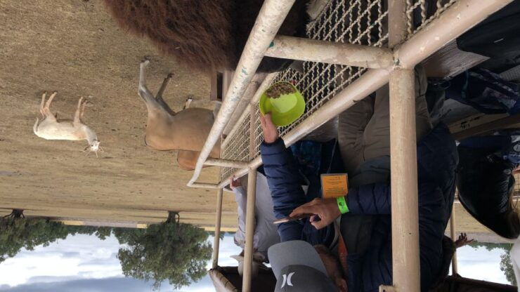From Mexico City: Teotihuacan Tour & Reino Animal For Kids - Experience Highlights