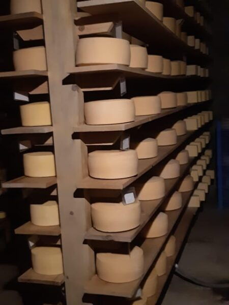 From Mexico City: Wine, Cheese and Art Gastronomic Route Through Queretaro - Craft Beer Brewery