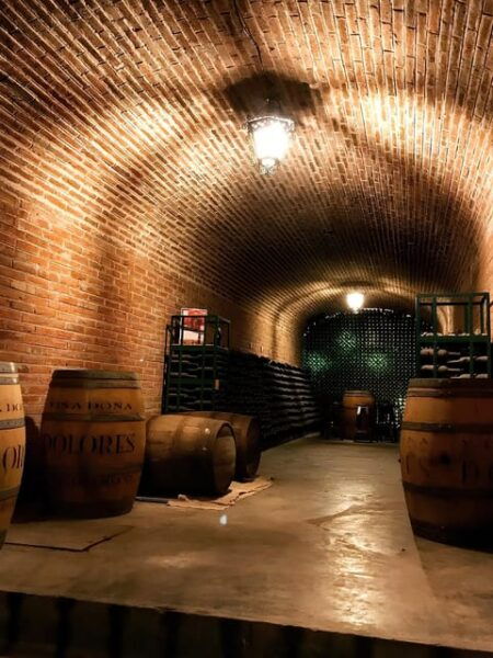 From Mexico City: Wine, Cheese and Art Gastronomic Route Through Queretaro - Bernal Exploration