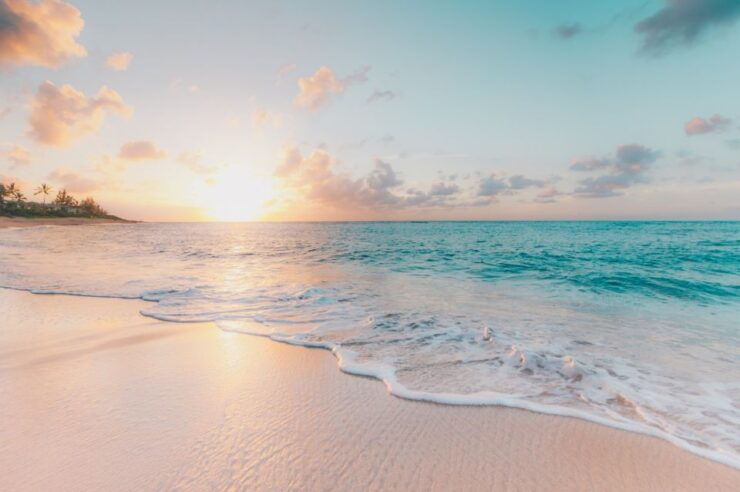 From Miami: Bimini Bahamas Day Trip by Ferry - Activity Details