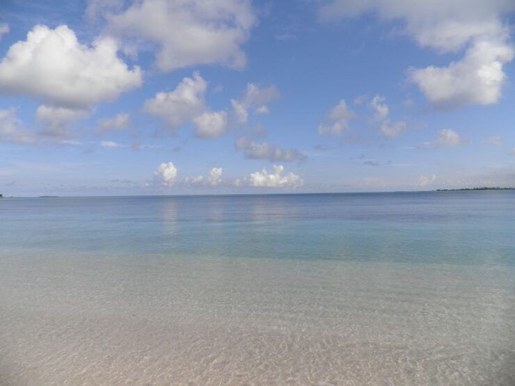 From Miami: Bimini Bahamas Day Trip W/ Hotel Pickup & Ferry - Free Cancellation and Duration