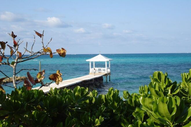 From Miami: Bimini Bahamas Day Trip W/ Hotel Pickup & Ferry - Onboard Amenities and Optional Activities