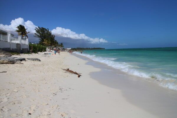 From Miami: Bimini Bahamas Day Trip W/ Hotel Pickup & Ferry - The Sum Up