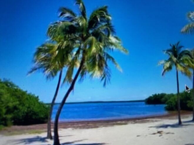 From Miami: Day Trip to Key Largo With Optional Activities - Upgrade Options for Enhanced Experience