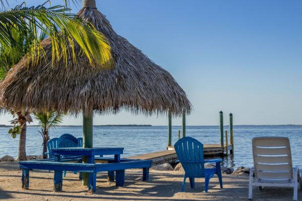 From Miami: Day Trip to Key Largo With Optional Activities - Full Description of the Day Trip