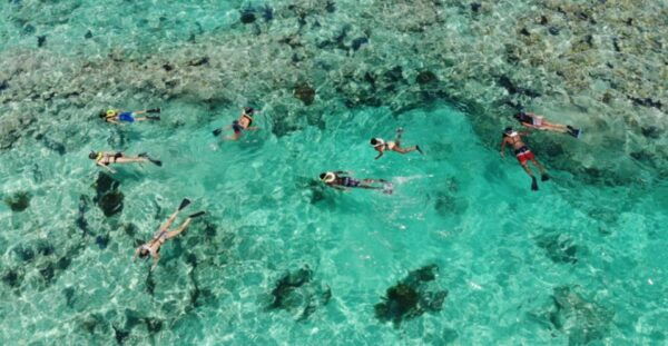 From Miami: Day Trip to Key Largo With Optional Activities - The Sum Up