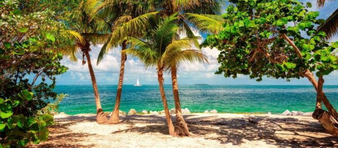 From Miami - Enchanting Key West Tour in a Small Group. - Additional Inclusions for a Hassle-free Experience