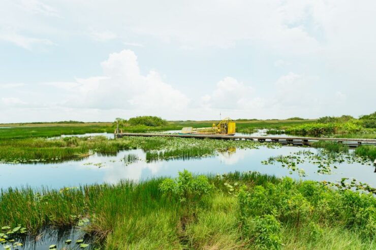 From Miami: Everglades Airboat Ride and Nature Walk - Experience