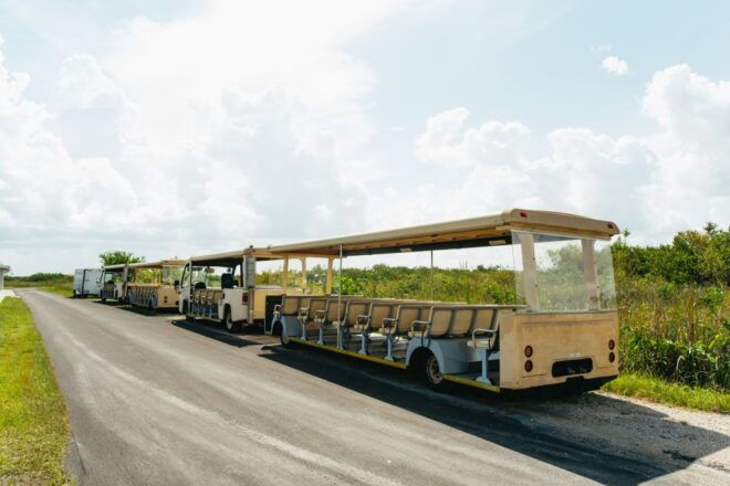 From Miami: Everglades Airboat Ride and Nature Walk - Additional Activities