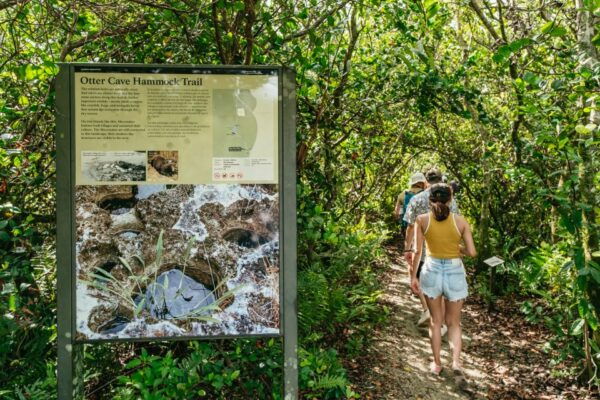 From Miami: Everglades Airboat Ride and Nature Walk - Common Questions