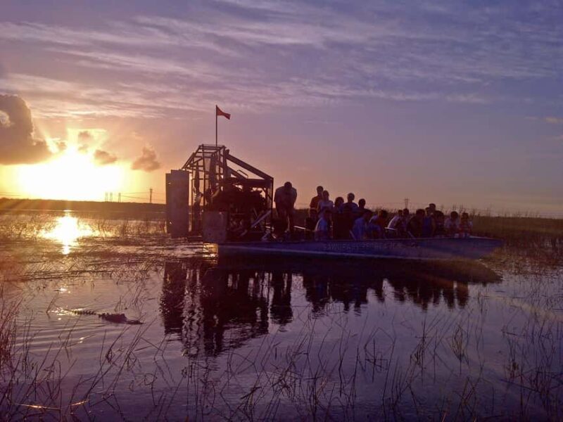 From Miami: Everglades at Night with Guided Airboat Tour - The Itinerary: Breaking Down the Experience