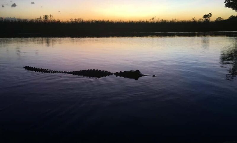 From Miami: Everglades at Night with Guided Airboat Tour - Who Will Love This Tour?