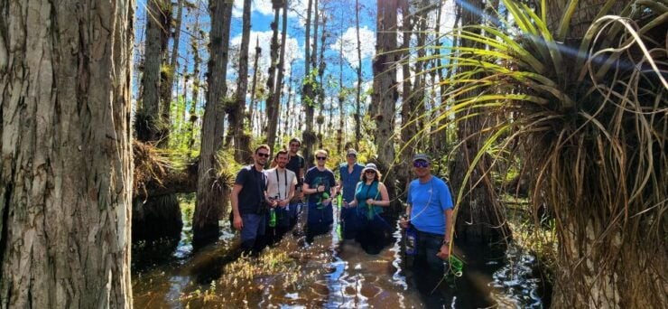From Miami: Everglades Tour W/ Wet Walk, Boat Trips, & Lunch - Experience Highlights
