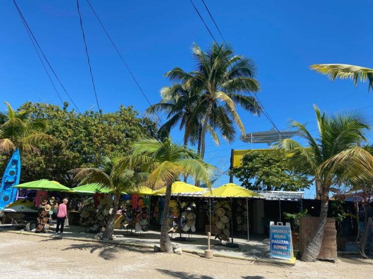 From Miami: Key Largo & Islamorada Private Open-Top Bus Tour - Activity Details