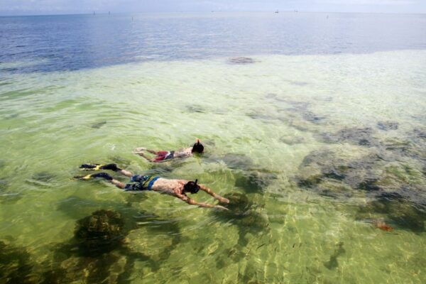 From Miami: Key West Bus Tour - Additional Information