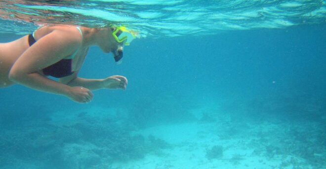 From Miami: Key West Day Trip - Customer Reviews