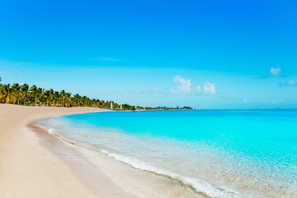 From Miami: Key West Day Trip - Additional Suggestions or Related Activities