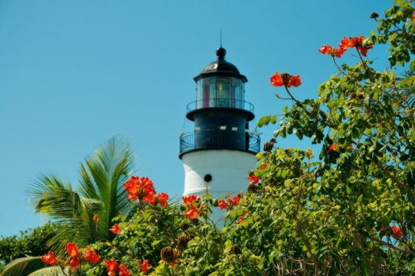 From Miami: Key West Day Trip With Narration - Additional Information