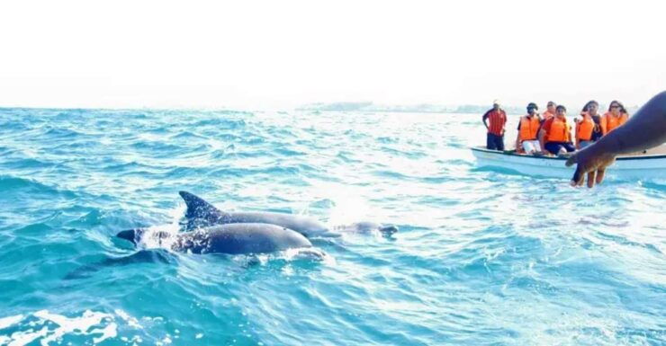 From Miami: Key West Tour With Choice of Water Activities - Activity Details and Booking Options