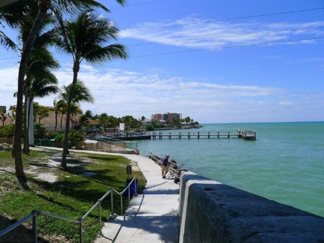 From Miami:Small Group Fort Lauderdale,Palm Beach 1-Day Tour - Group Size and Language